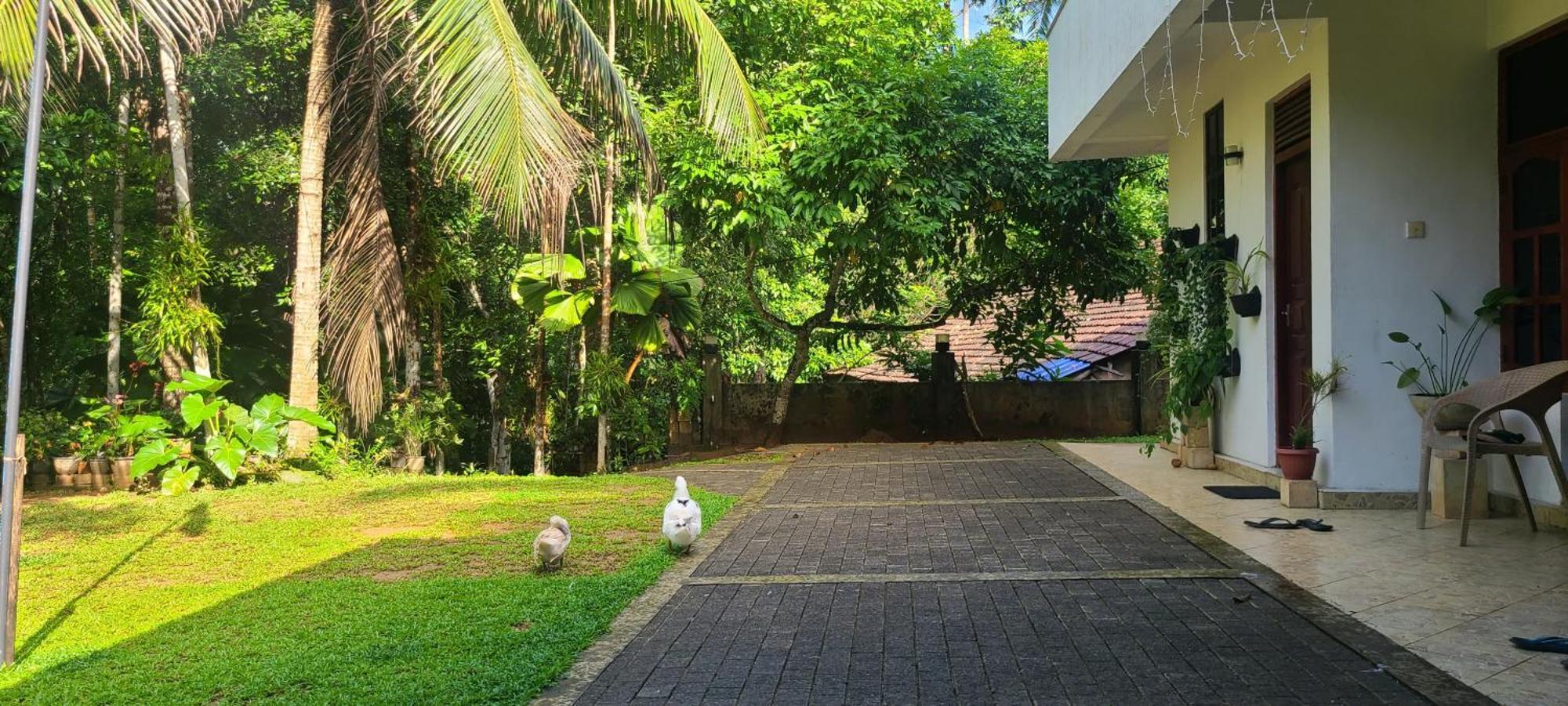 'Kolamba Gedara' Green Apartment Ruwanwella Luaran gambar